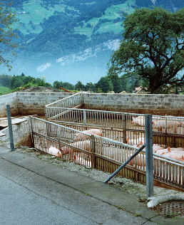 wiesenberg2.jpg (229173 Byte)