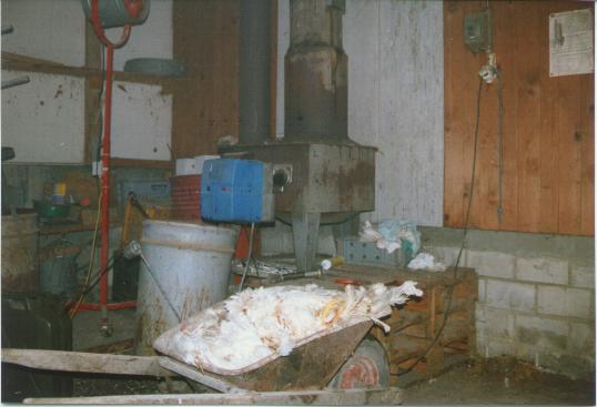 reitnau1.jpg (28177 Byte)