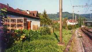 rekingen-1.jpg (13290 Byte)