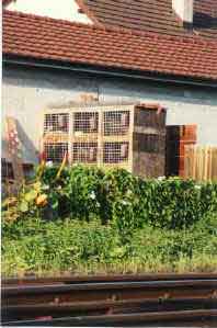 rekingen-2.jpg (15355 Byte)