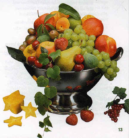 fruechte.jpg (105651 Byte)