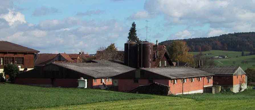 tg11-vogelsang.-0.jpg (42547 Byte)