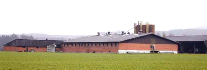 ag113-merenschw-0.jpg (10267 Byte)