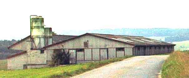 schneisingen.JPG (14471 Byte)