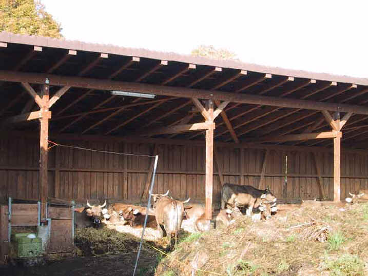 laufstall_mit_hoerner_klarsreuti.JPG (41029 Byte)