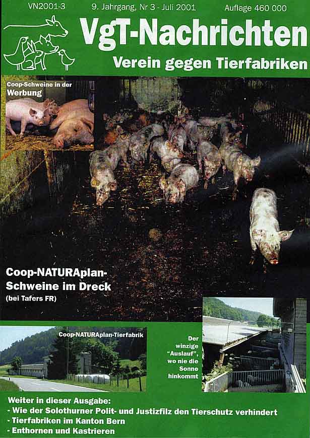 titel-01-3.JPG (87807 Byte)