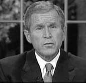 bush.jpg (9216 Byte)