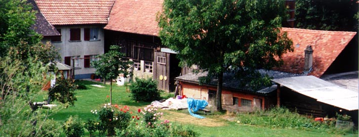 dullik1.jpg (37319 Byte)