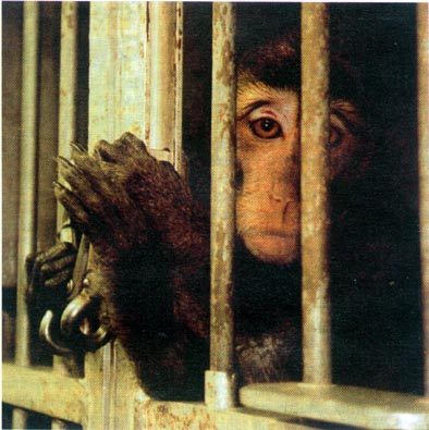 o-s23.jpg (42696 Byte)