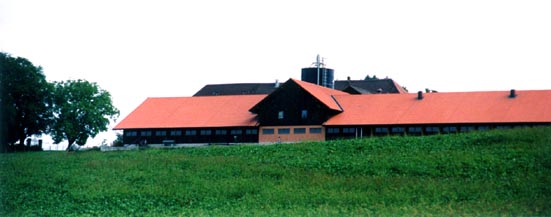 st-elis2.jpg (20130 Byte)
